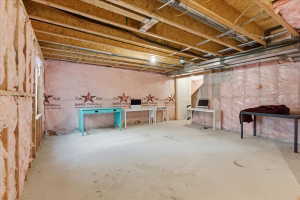View of unfinished basement