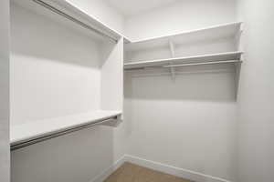 Spacious closet with light carpet
