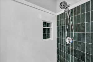 Bathroom view of tiled shower