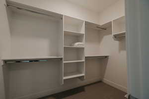 Spacious closet featuring dark carpet