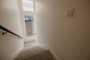 Staircase with carpet floors and baseboards