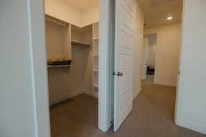 Walk in closet with carpet floors