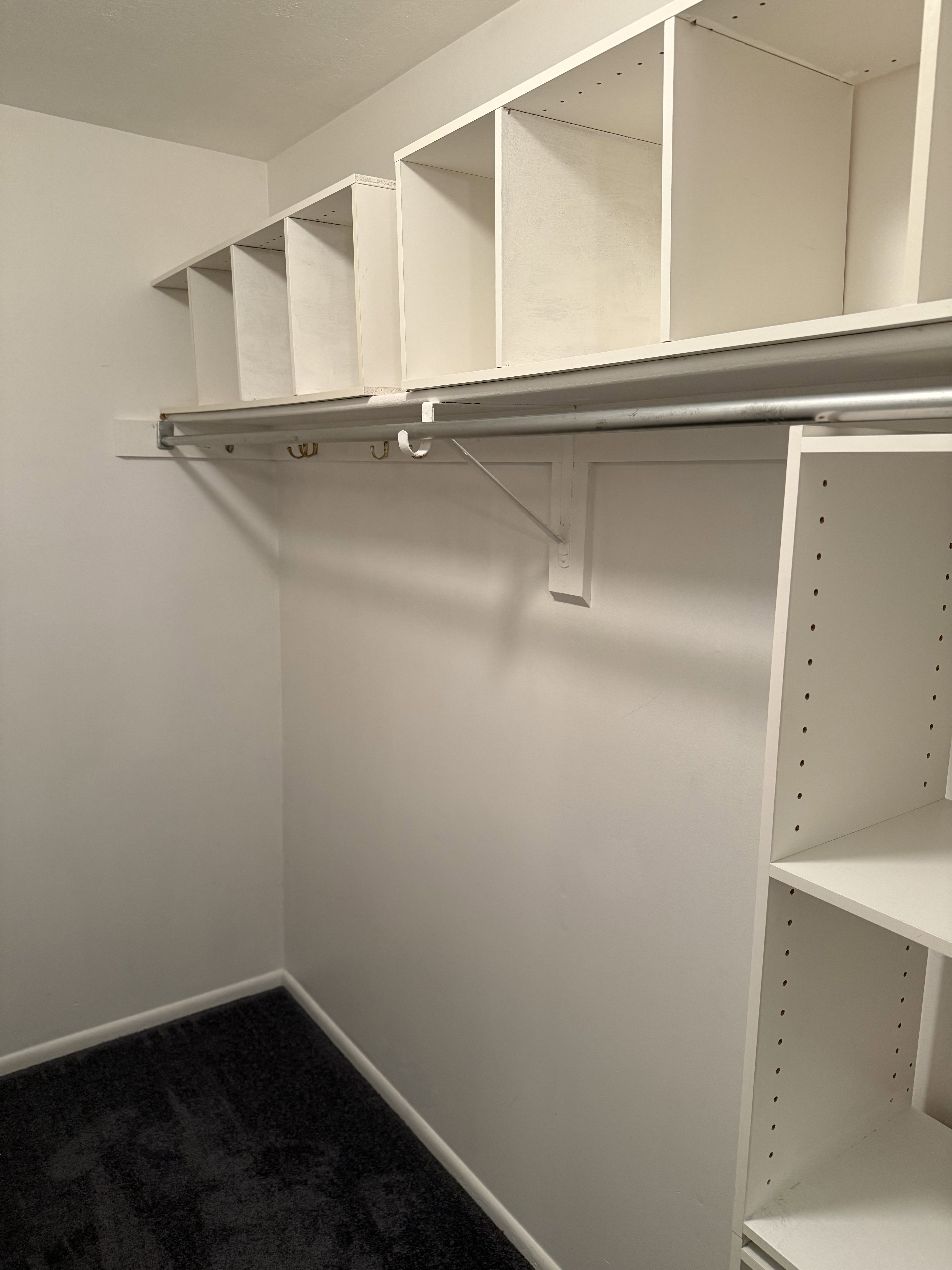 Spacious closet with dark colored carpet
