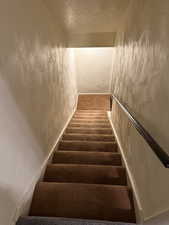 Stairs featuring carpet flooring