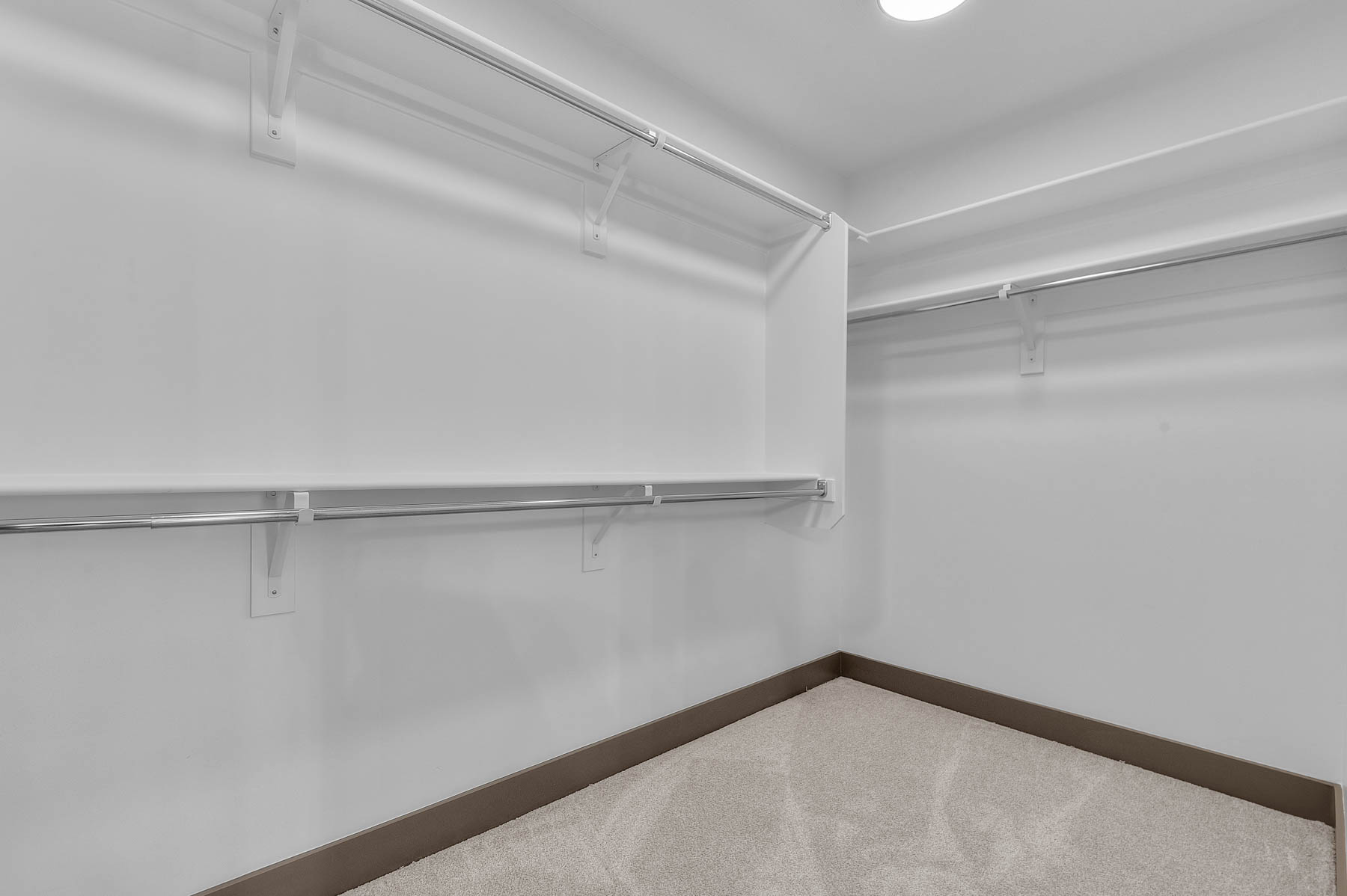Walk in closet featuring carpet floors
