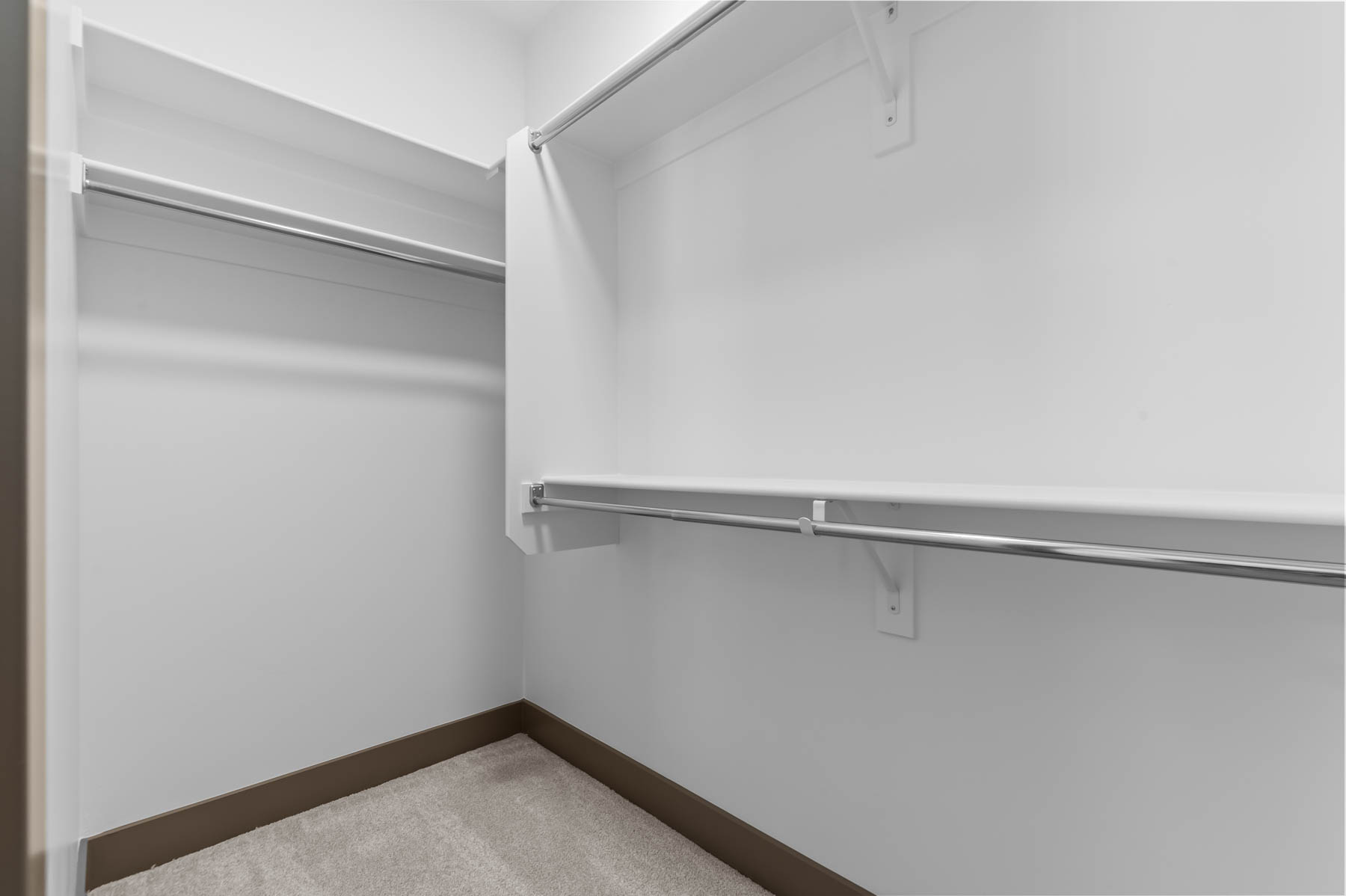 Walk in closet with light carpet