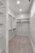 Spacious closet featuring light colored carpet