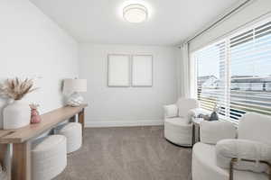 Sitting room with baseboards and carpet