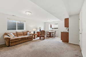 Living area with light colored carpet and baseboards