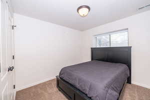 Bedroom with carpet flooring