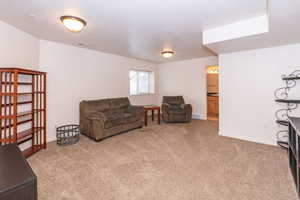 Living room featuring light colored carpet and baseboards