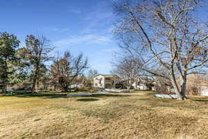 View of yard featuring a trampoline, a swimming pool, and a patio