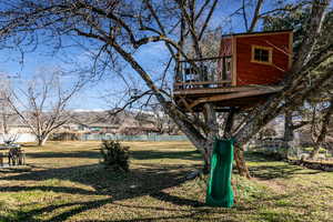 Custom built treehouse
