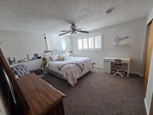 Level 1 1/2 - Bedroom with plantation shutters, carpet, ceiling fan and 2 double closets