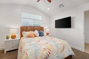 Bedroom with Vaulted Ceilings & a TV