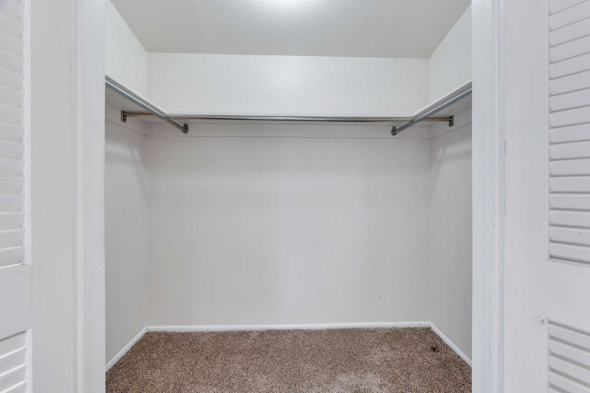 Spacious closet featuring carpet floors
