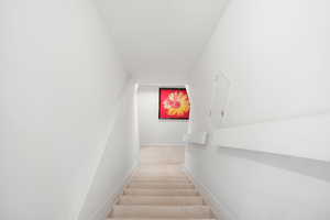 Stairway featuring carpet and baseboards