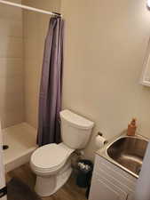 Full bath with a stall shower, wood finished floors, and vanity
