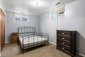 Mother In law basment apartment bedroom featuring carpet, a closet, and multiple windows