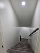 Stairs with carpet flooring