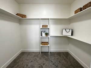 Walk in closet with dark carpet