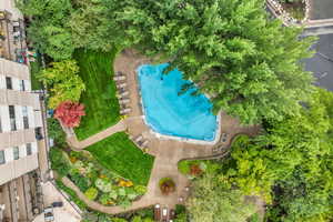 Aerial view of a pool