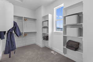 Spacious closet with carpet floors