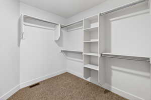 Walk in closet with light colored carpet