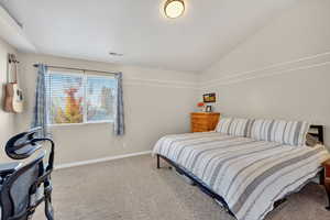 Carpeted bedroom with baseboards and lofted ceiling