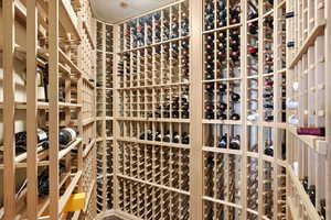 View of wine cellar