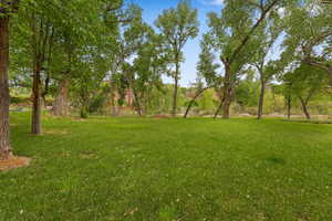 Backyard – Lawn & Riverfront Setting