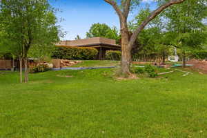 Backyard – Mature Trees