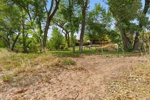 Sandy Beach on the Virgin River
