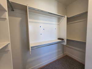 View of walk in closet