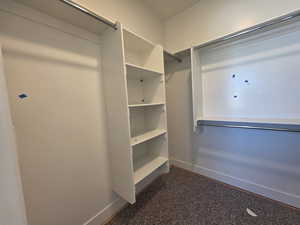 View of walk in closet