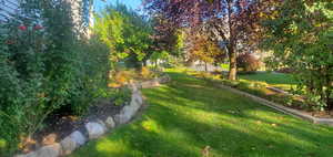 View of community with a yard