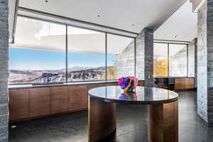 Welcome area with a mountain view and a sink