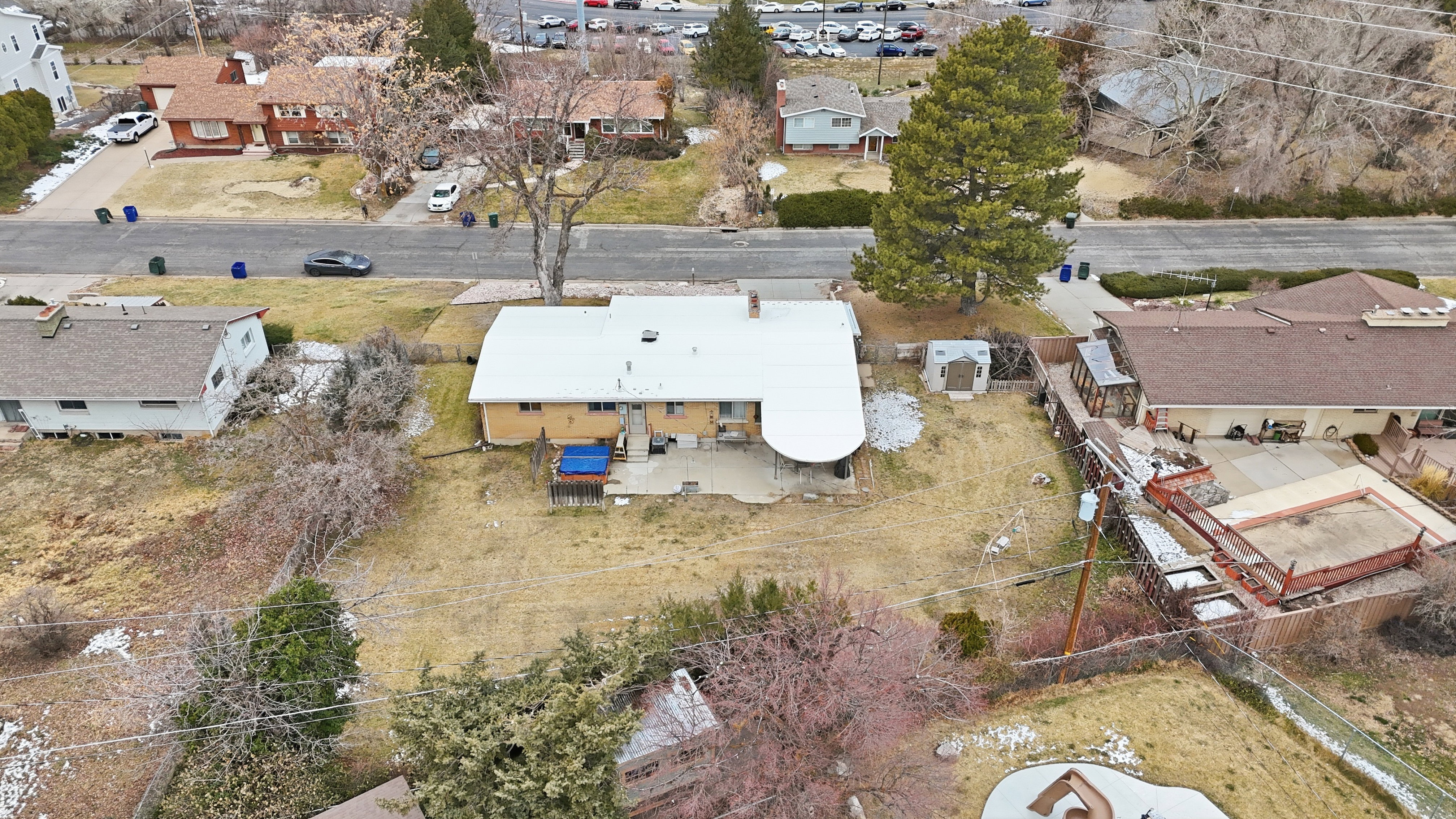 Expansive rear yard featuring a concrete patio, mature tree, and surrounding fencing