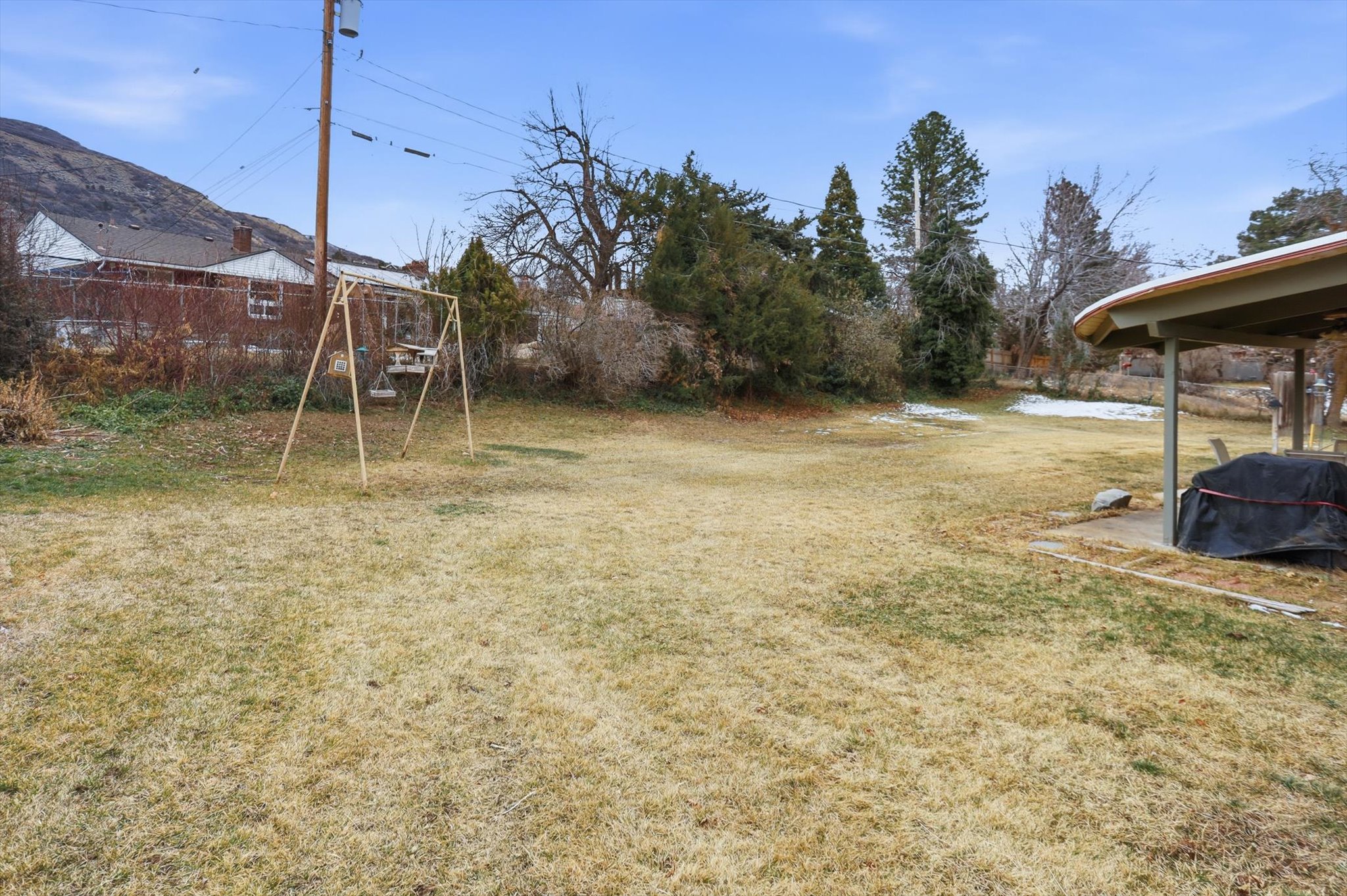 View of grassy yard