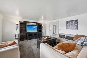 Living area with carpet floors