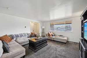 Living room featuring dark carpet