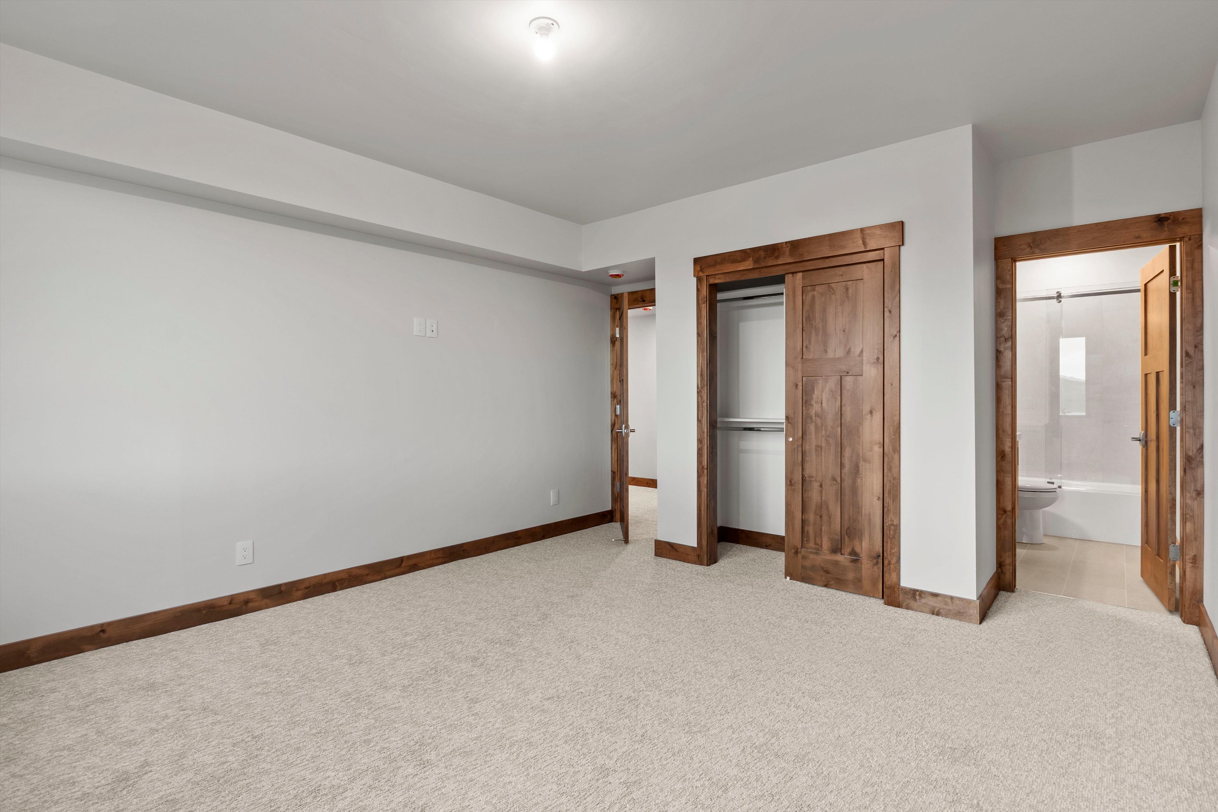 Carpeted room featuring light gray walls and dark wood trim