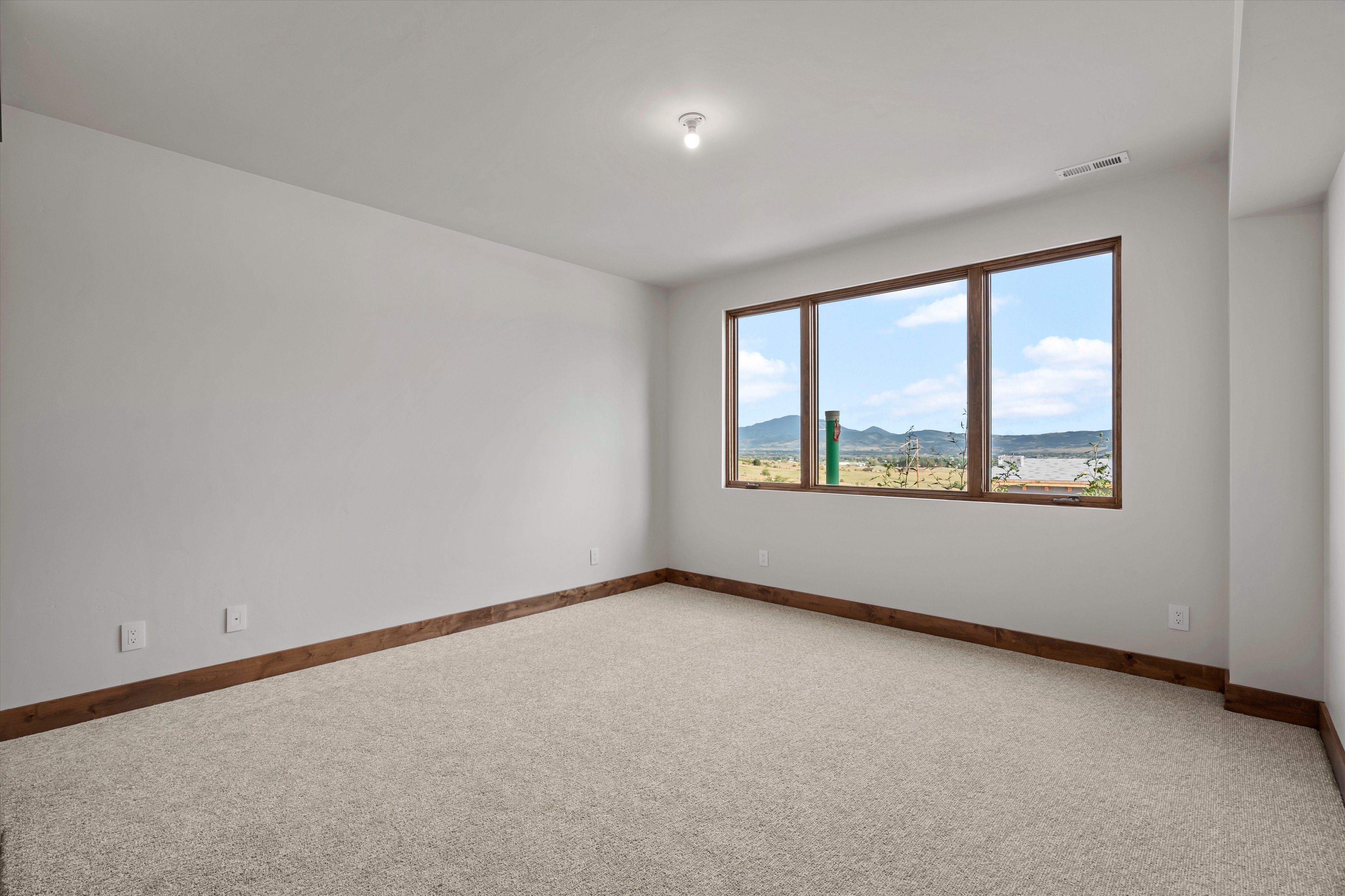 Carpeted interior space featuring a multi-pane window with wood-finish trim, white walls, wood-finish baseboards, and a recessed ceiling light