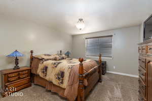 Bedroom featuring baseboards and carpet flooring