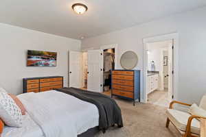 Bedroom with light colored carpet, a spacious closet, and ensuite bath