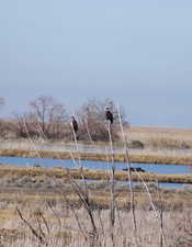Water view with rural landscape