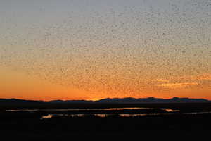 View of mountain background with a large body of water