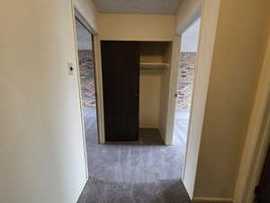 Unit #2- Hall with dark colored carpet and brick wall