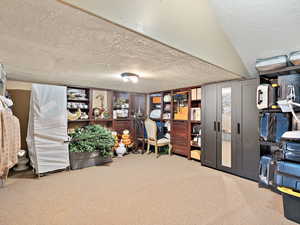 Finished storage in Master Bedroom