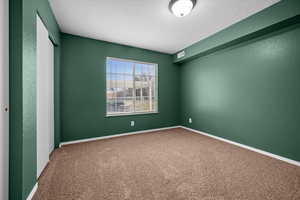 Unfurnished room with a textured wall and carpet